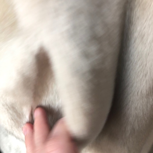 Vintage mink collar union made blonde jacket - Picture 8 of 14